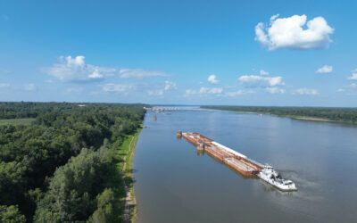 Example Post 4 – E pellentesque sem placerat.