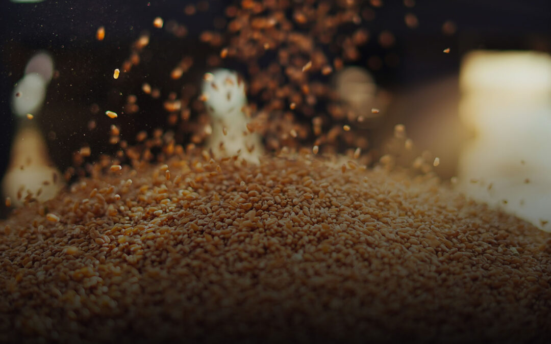 Example Post 2 – E pellentesque sem placerat.